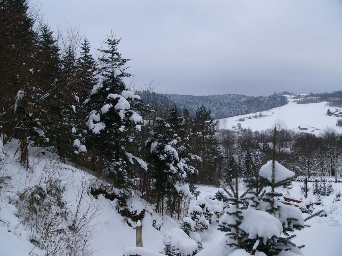Agroturystyka - Agrodomek Nozdrzec Kültér fotó